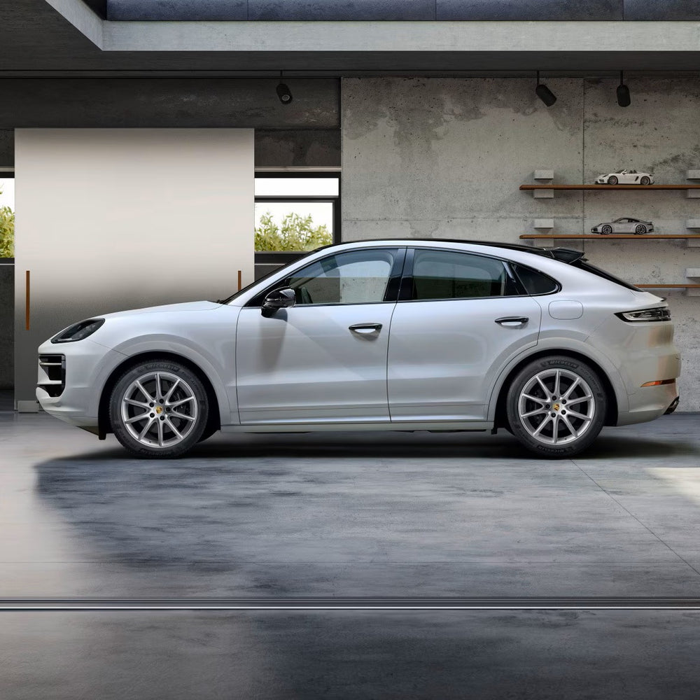 20" Cayenne E3 II "Cayenne Design" winter set - Silver