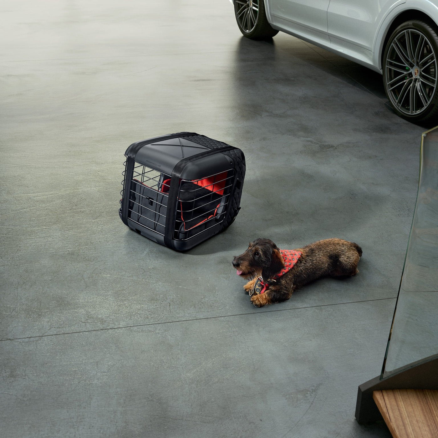 Porsche Dog Carrier