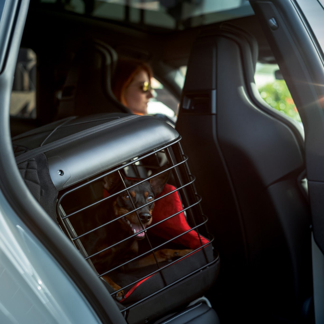 Porsche Dog Carrier