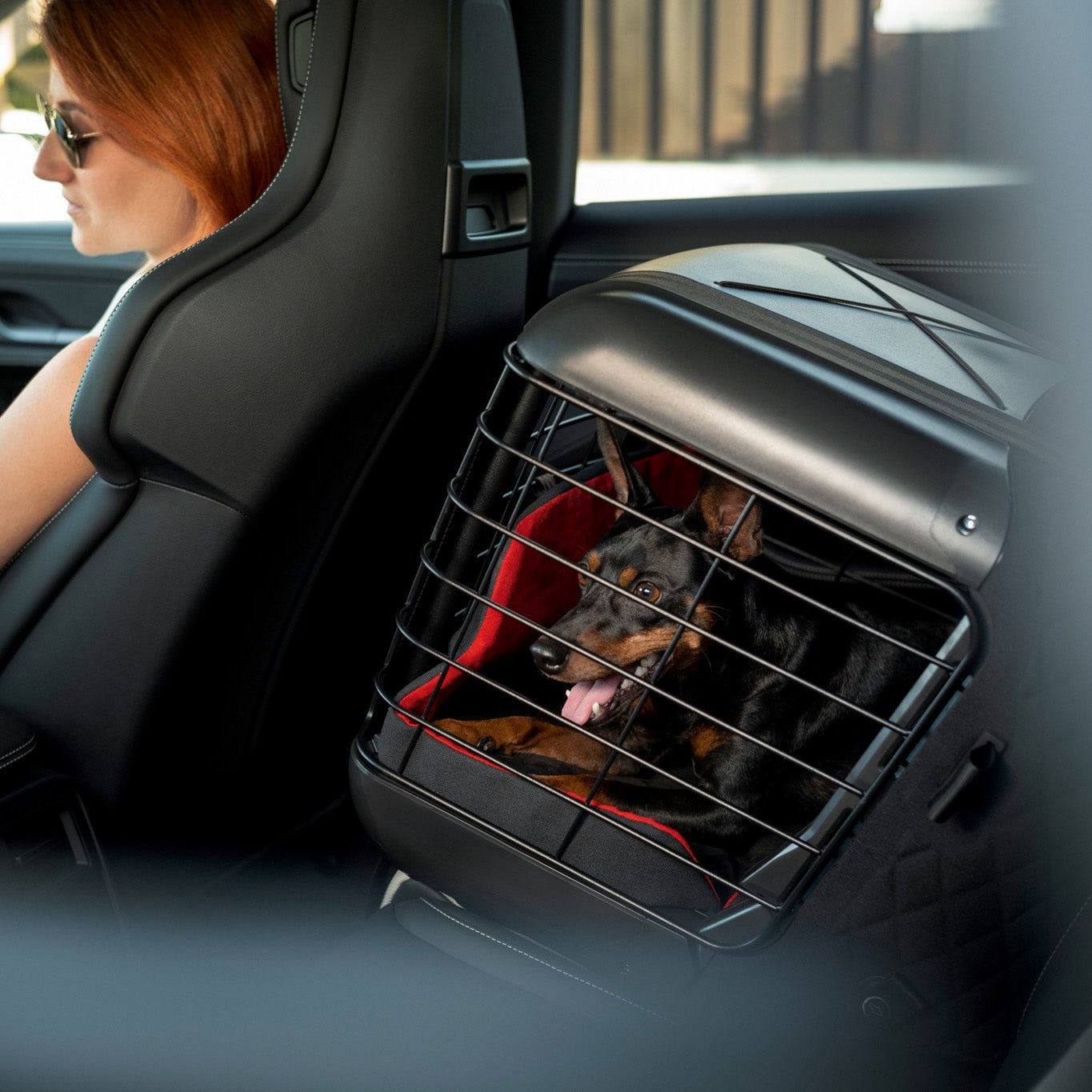 Porsche Dog Carrier – Porsche Exchange