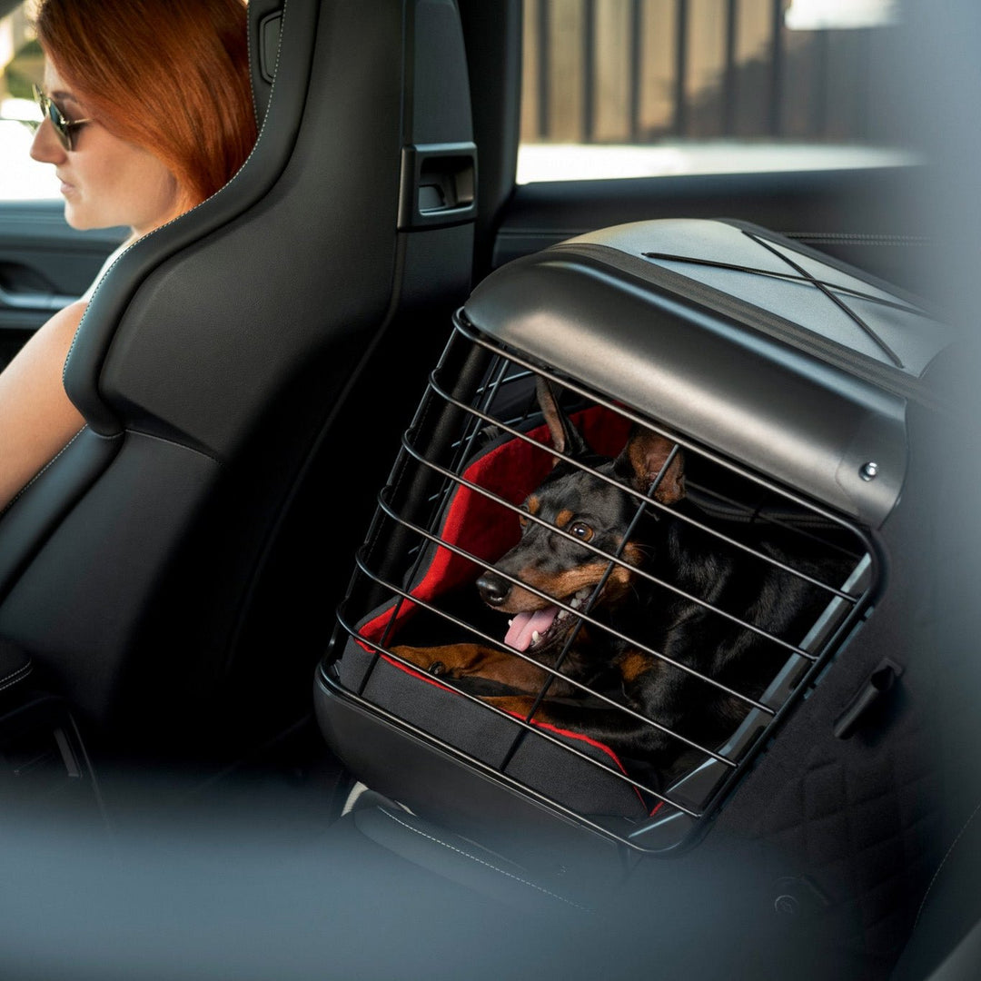 Porsche Dog Carrier